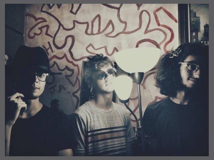 Voliere photo 1