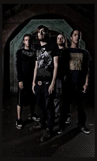 Codex