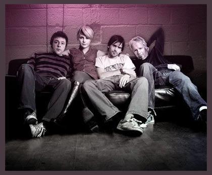 Wire Daisies photo 1