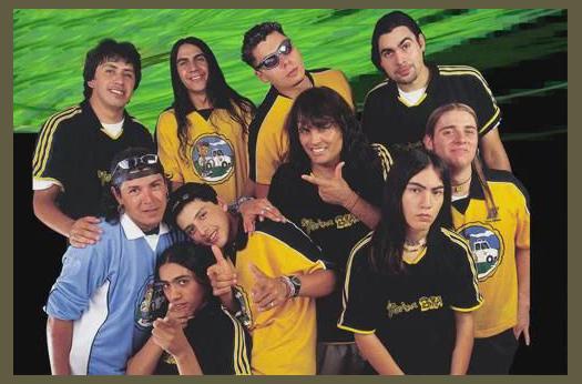 Yerba Brava photo 1