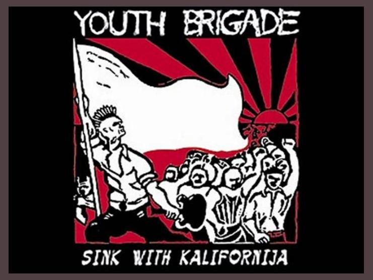 Youth Brigade photo 1