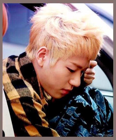 Zico photo 1