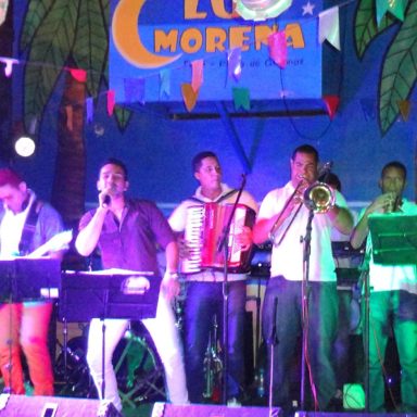 Banda Flor de Araçá