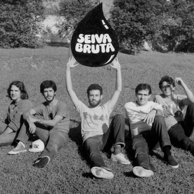 Banda Seiva Bruta