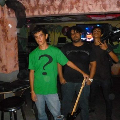 Baratas Grávidas