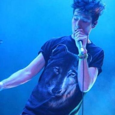 Bastille photo 12