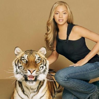 Beyoncé photo 1316