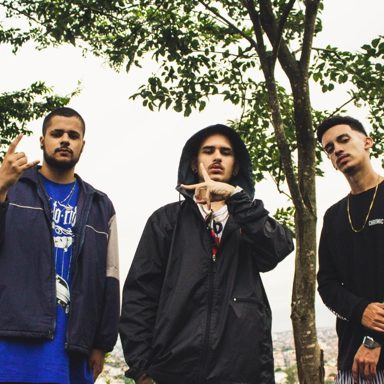 CAOS019
