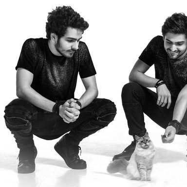 Cat Dealers