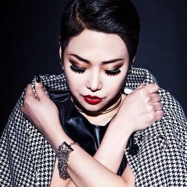 Cheetah (치타)