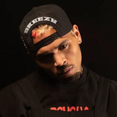 Chris Brown photo 21