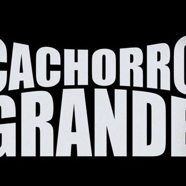 Cachorro Grande