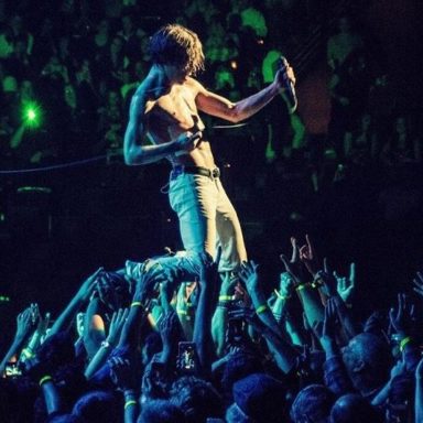 Cage The Elephant photo 11