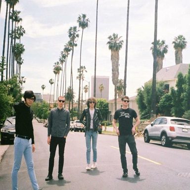 Car Seat Headrest