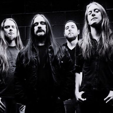Carcass photo 12