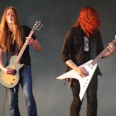 Carcass photo 16