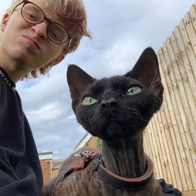 Cavetown photo 10