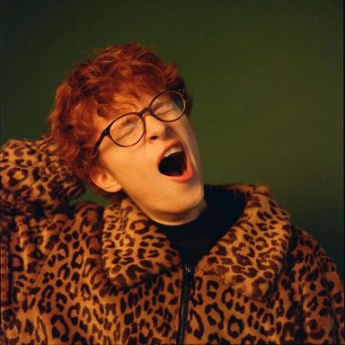 Cavetown photo 11