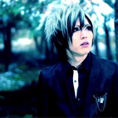 Diaura photo 14