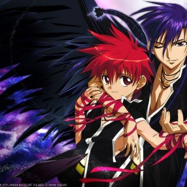 D.N.Angel