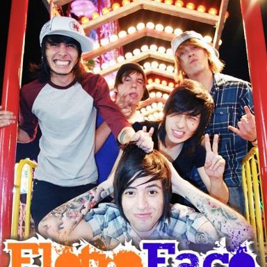 Eletroface