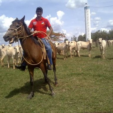 Evandro Diamant