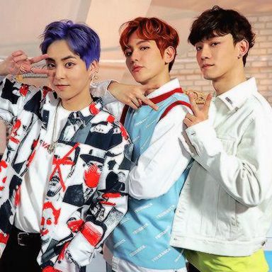 EXO-CBX photo 14