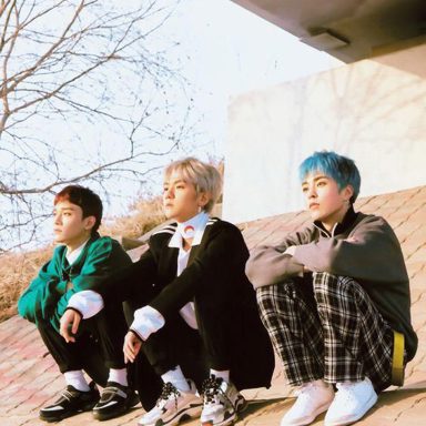 EXO-CBX photo 15
