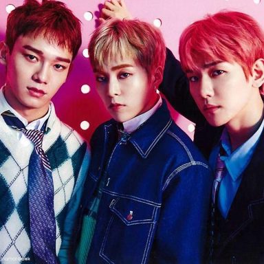 EXO-CBX photo 11