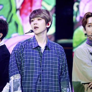 EXO-CBX photo 12