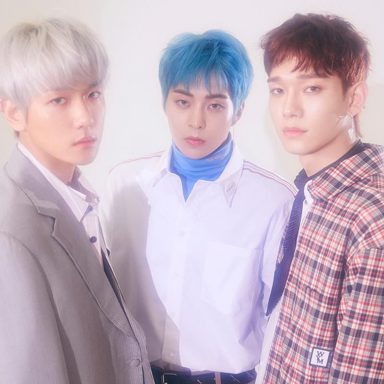 EXO-CBX photo 16