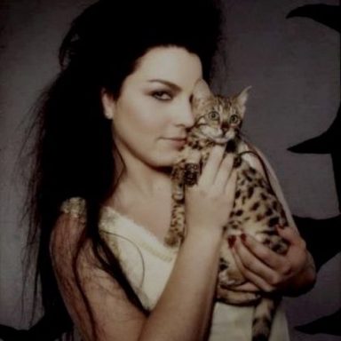Evanescence photo 159