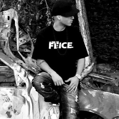 Feice