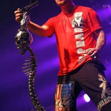 Five Finger Death Punch photo 10
