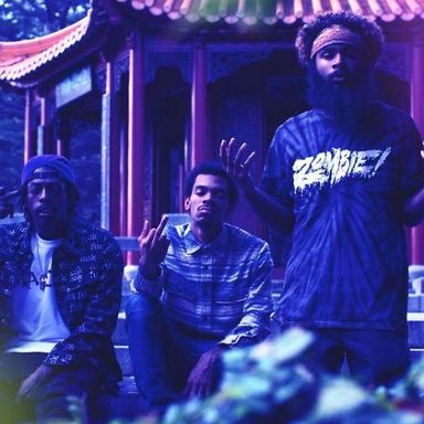 Flatbush Zombies