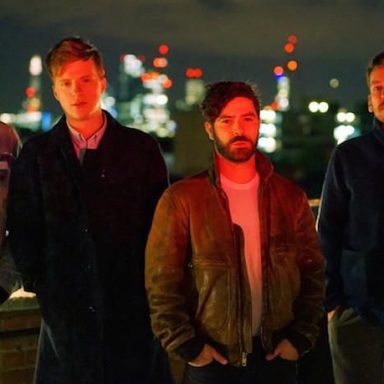 Foals