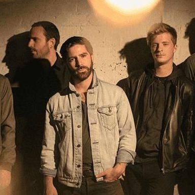 Foals