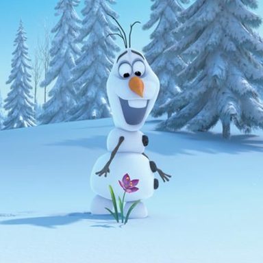 Frozen photo 29