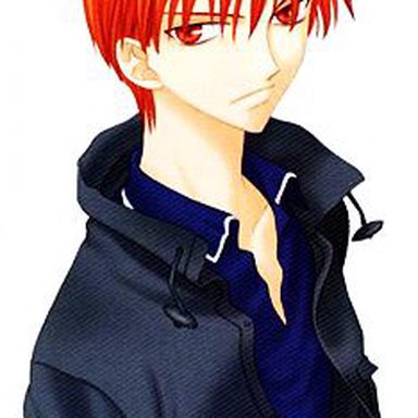 Fruits Basket photo 16