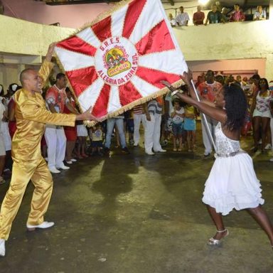G.R.E.S Alegria da Zona Sul