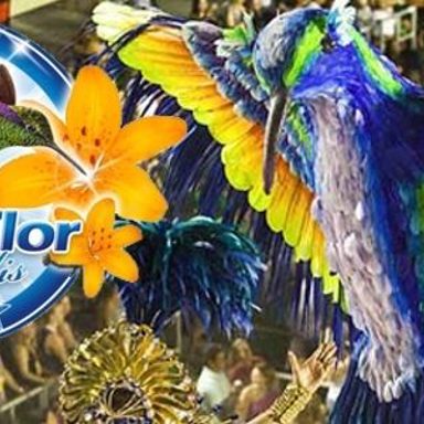 G.R.E.S. Beija-Flor de Nilópolis (RJ) photo 18