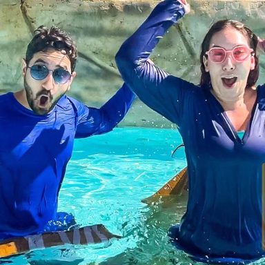 Gabriel e Shirley