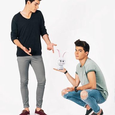 Gemeliers photo 31