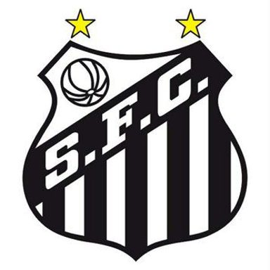 GRCES Torcida Jovem do Santos FC