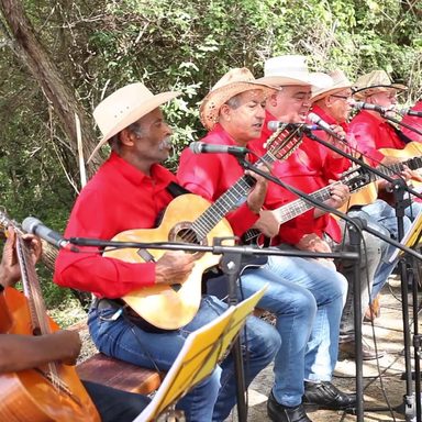 Grupo de Viola Caipira São Gonçalo de Votorantim