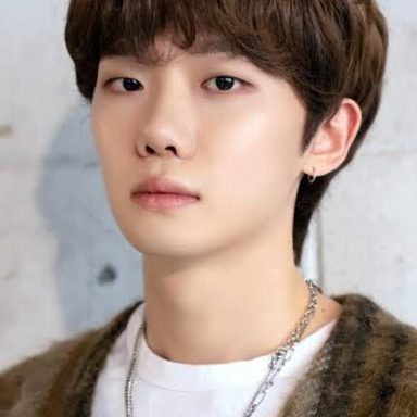Ha Hyun Sang