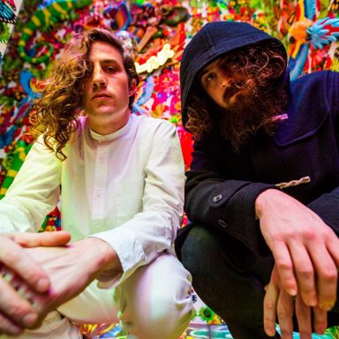 Hippie Sabotage