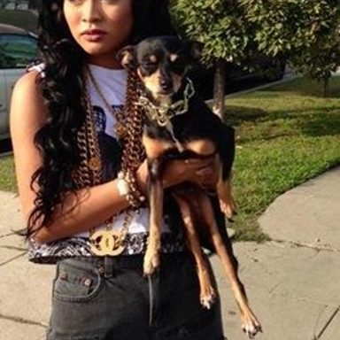 Honey Cocaine