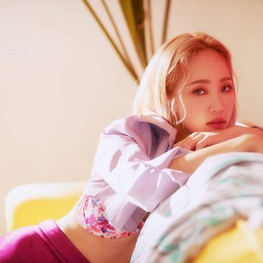 HA:TFELT photo 12
