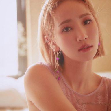 HA:TFELT photo 15